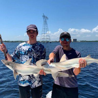 Guest catch from a fishing trip with Captain Marvin — bmorto3 review